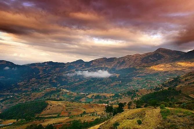 A day in the life of a coffee farmer in Guatemala at 2,000 meters above sea level.