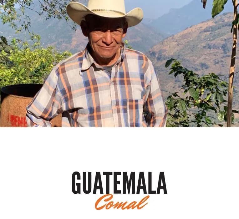 Oudere man met cowboyhoed tussen groene koffieplanten in een bergachtig landschap, met een metalen vat en tekst “GUATEMALA Comal”